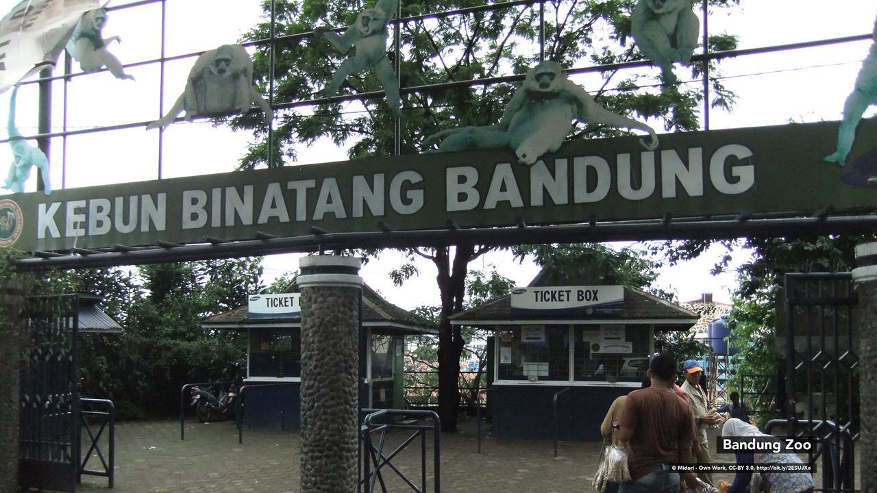 Zen Rooms Bukit Tunggul Μπαντούνγκ Εξωτερικό φωτογραφία